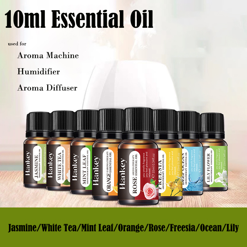 10ml pelembap minyak esensial  - Candle Making Oils ulasan dan harga